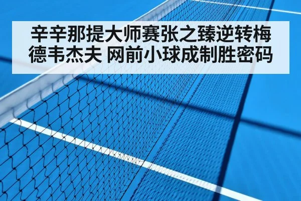 辛辛那提大师赛张之臻逆转梅德韦杰夫 网前小球成制胜密码