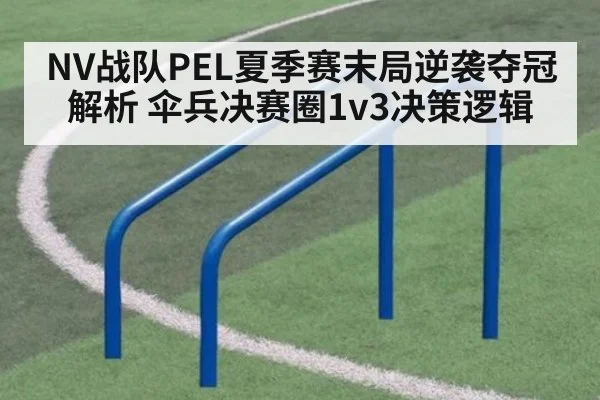 NV战队PEL夏季赛末局逆袭夺冠解析 伞兵决赛圈1v3决策逻辑